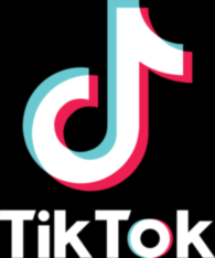 Tiktok Icon Black