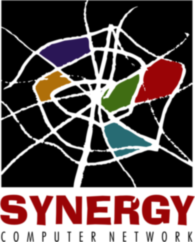 Synergy Computer Network