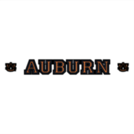Auburn Tigers