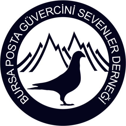 Bursa Posta