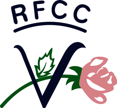 Rede Feminina de Combate ao Câncer