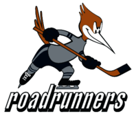 Edmonton Roadrunners