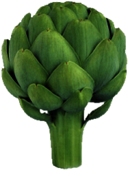 Large Artichoke