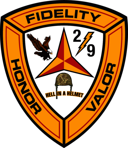2nd Battalion 9th Marine Regiment USMC