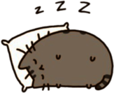 Pusheen Sleeping