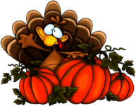 Thanksgiving Pumpkins Turkey