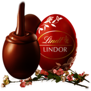 Lindt Lindor Chocolate Egg