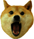 Shiba Inu Barking