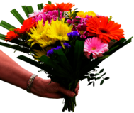 Brightly Coloured Bouquet In Hand