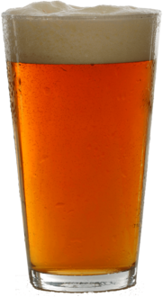 Simple Pint Beer