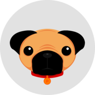 Pug 