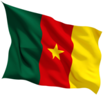 Cameroon Flag Wave