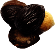 Chocolate Nuts