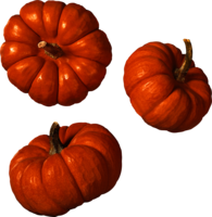 Trio Pumpkin