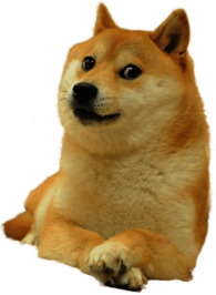 Doge Full Smiling