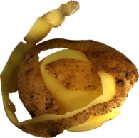 Peeled Potato