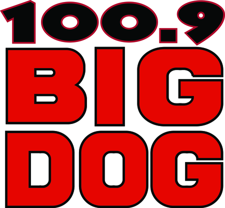 100.9 Big Dog