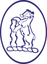 Warwickshire Bears