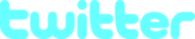 Twitter Wordmark