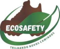 Ecosafety