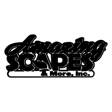 Amazing Scapes & More