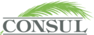 Consul