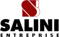 Salini