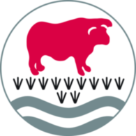 The Bulmershe School