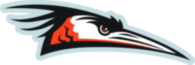 Delmarva Shorebirds