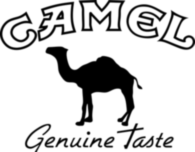 Camel 1074