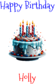 Happy Birthday Holly Custom Message