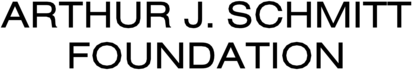 Arthur J Schmitt Foundation