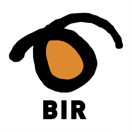 Bir 40409
