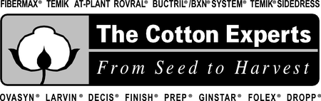 COTTON EXPERTS