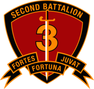 2nd Battalion 3rd Marine Regiment USMC