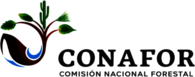 Conafor 2018-2024