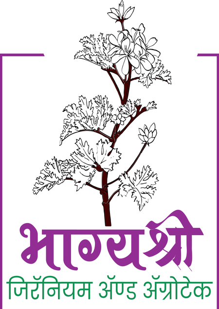 Bhagyashree Geranium  2 By Fusion Arts - Graphic Designing Cafe