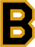 Boston Bruins