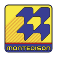 Montedison