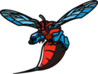 Delaware State Hornets