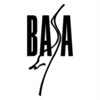 Basa Press