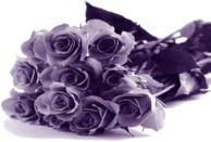 Happy Mothers Day Purple Flowers