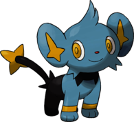 Shinx Pokemon