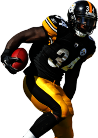 Pittsburgh Steelers Player