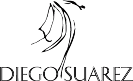 Diego Suarez Peluqueria