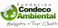 Fundacion Condeco Ambiental