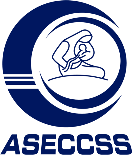 ASECCSS