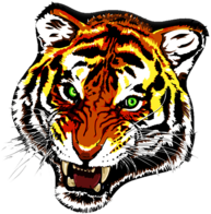 Tiger Tattoo Colour
