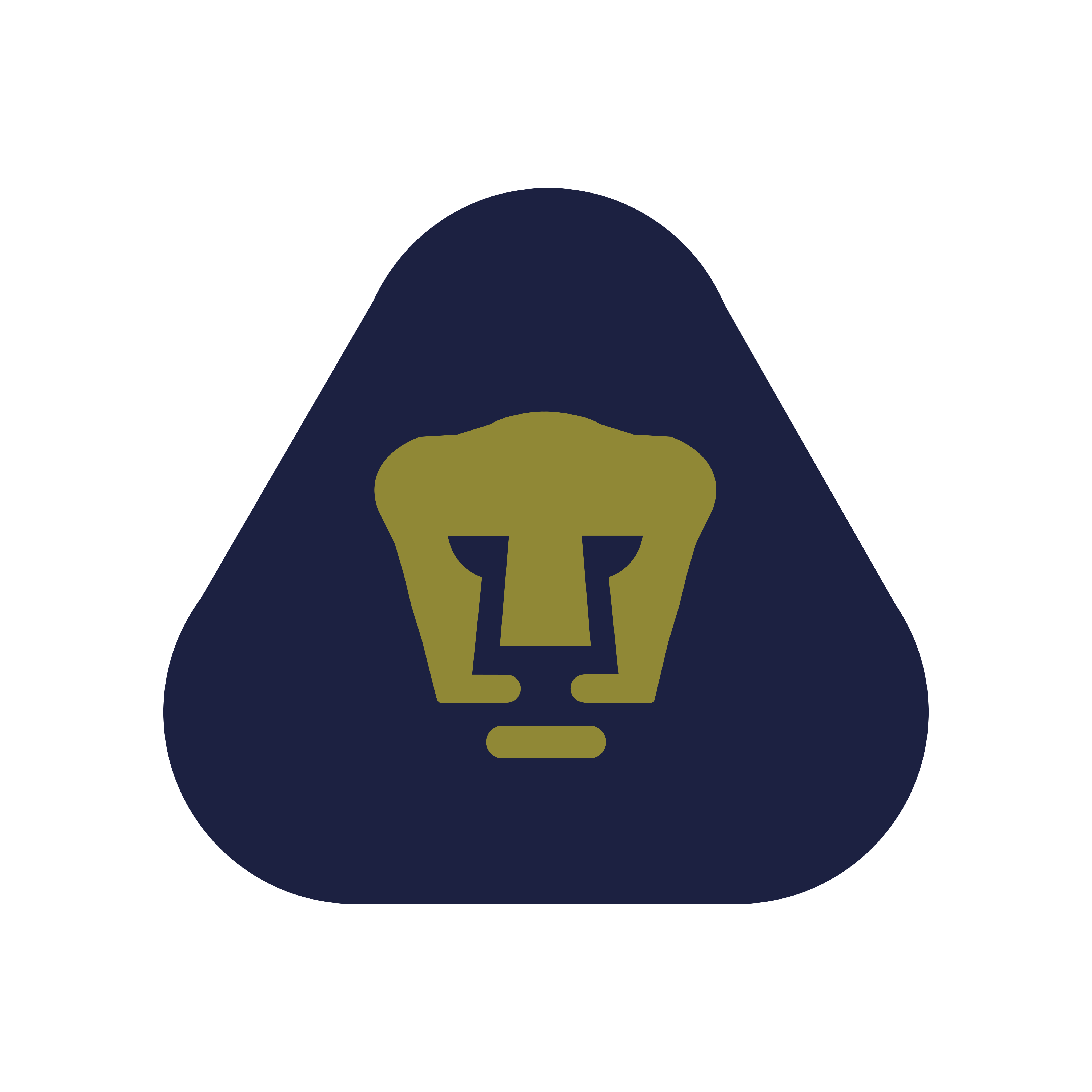 Pumas Unam