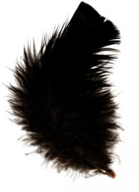 Feather Black